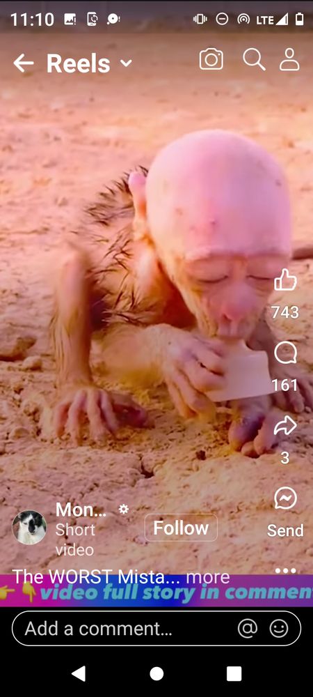 American Muffler and Brake