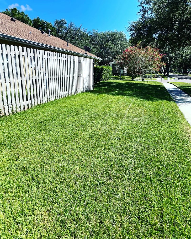Slide of Bay Area Landscape and Pressure Washing