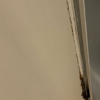 Northern Queen Inn - One side of inside of the shower, where there is mold - Hotels Near Me - Nevada City, California Northern Queen Inn - One side of inside of the shower, where there is mold - Hotels Near Me - Nevada City, California