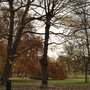 Photo of Humlegården
