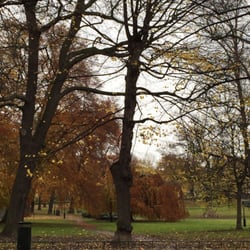 Humlegården - Höst i Humlan
