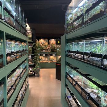 REPTILE RAPTURE - Updated February 2026 - 37 Photos & 23 Reviews - 6308