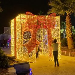Festival of Lights - Moody Gardens