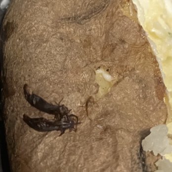 Wendy's - the inside of a baked potato - Burgers Near Me - Saint Albans, West Virginia Wendy's - the inside of a baked potato - Burgers Near Me - Saint Albans, West Virginia