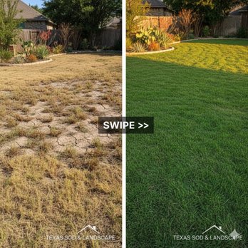Texas Sod and Landscape - Landscaping Near Me - McKinney, Texas Texas Sod and Landscape - Landscaping Near Me - McKinney, Texas