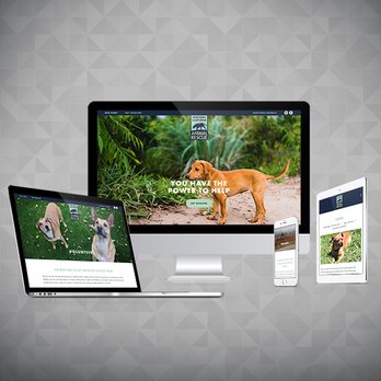 smallnormous - NorCal Animal Rescue: New brand, logo, apparel & website. - Marketing Near Me - Santa Rosa, California smallnormous - NorCal Animal Rescue: New brand, logo, apparel & website. - Marketing Near Me - Santa Rosa, California
