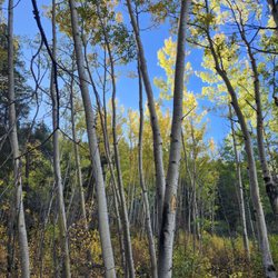 Threemile Creek Trail