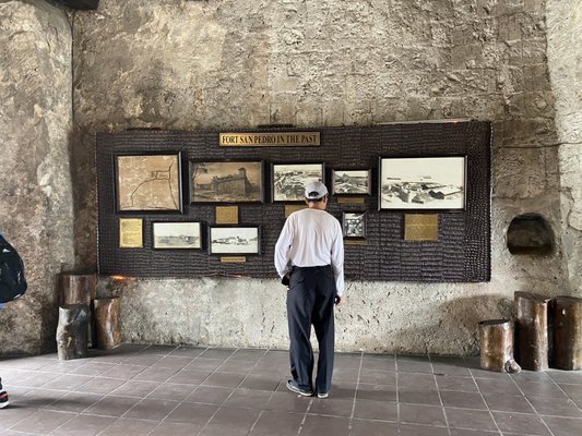 Fort San Pedro by null