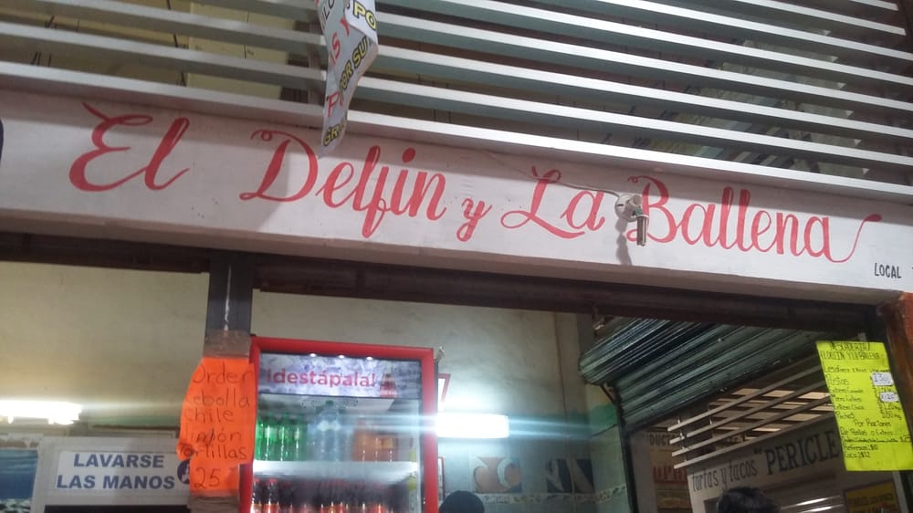 El Delfín y la Ballena