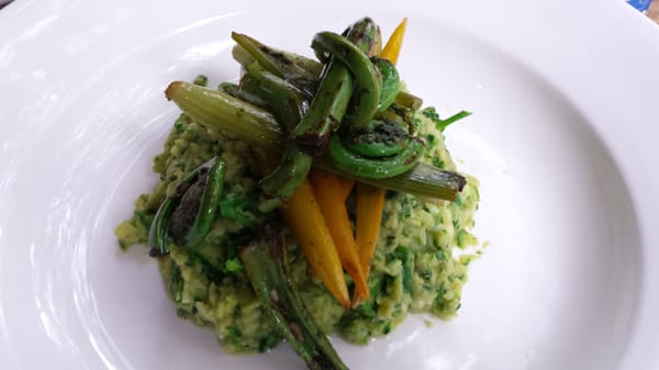 Blossom on Columbus by null