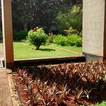 Instituto Central de Ciências - ICC - Esses jardins *-* - Colleges & Universities Near Me - Brasília, DF Instituto Central de Ciências - ICC - Esses jardins *-* - Colleges & Universities Near Me - Brasília, DF