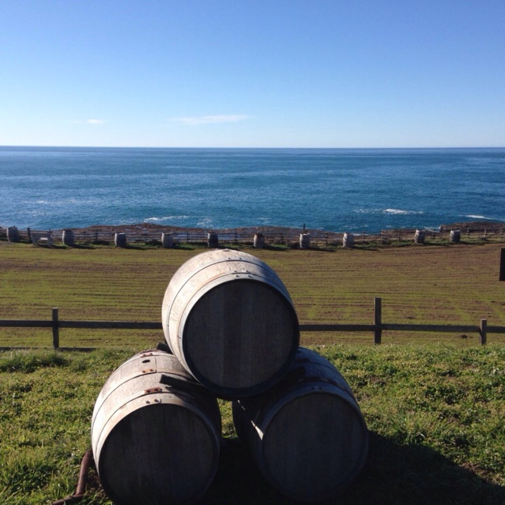 Pacific Star Winery - At the winery - Wineries Near Me - Fort Bragg, California Pacific Star Winery - At the winery - Wineries Near Me - Fort Bragg, California