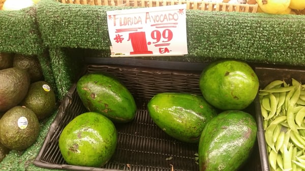 Manhattan Fruit Exchange by null