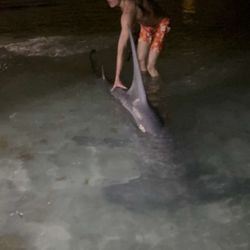 Redington Shores Bait and Tackle