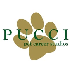 Pucci Pet Grooming - Pucci Pet Career Studios
