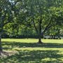 Photo of Lansden Park