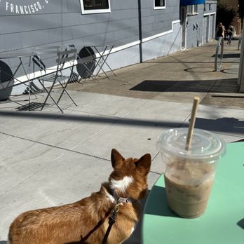 Noe Cafe - Iced Mocha - Coffee Roasteries Near Me - San Francisco, California Noe Cafe - Iced Mocha - Coffee Roasteries Near Me - San Francisco, California