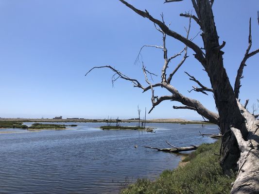 Wetlands & Wildlife Care Center by null