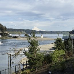 Patio view.