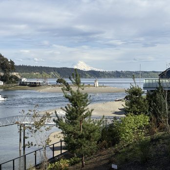 7 Seas Brewing - Patio view. - Breweries Near Me - Gig Harbor, Washington