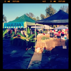 Love Your Local Markets Hawthorne - Love Your Local Markets Hawthorne