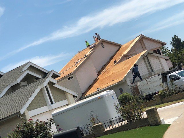 Slide of Bizzy Bee Builders