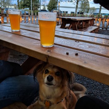 Vanguard Brewing - Kali enjoying the gravel patio with us - Breweries Near Me - Wilsonville, Oregon