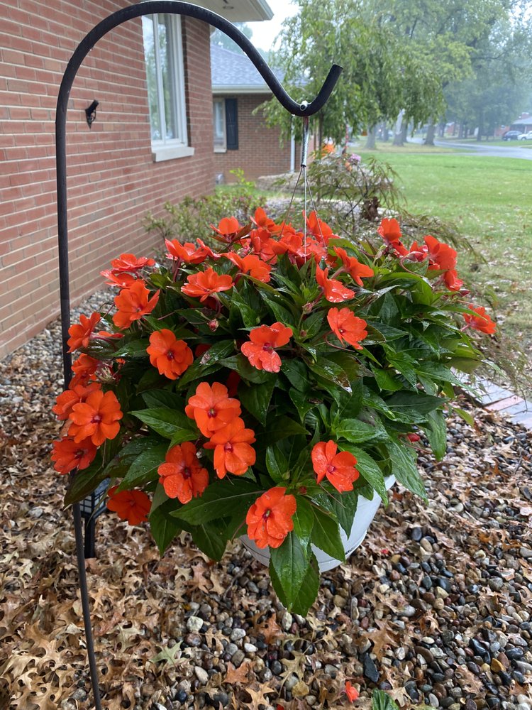 THE PLANT STAND Updated October 2024 3100 Godfrey Rd, Godfrey