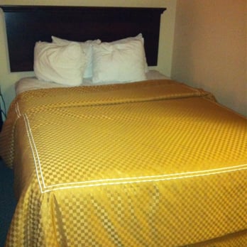 Comfort Suites Airport - Regular bed - Hotels Near Me - Jacksonville, Florida