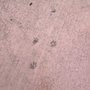Photo of A-1 Concrete