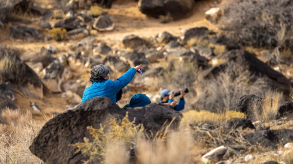 Petroglyph National Monument by null