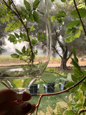 Hourglass Winery by null