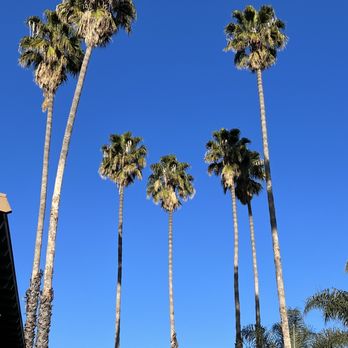 JC's Tree Service - Tree Services Near Me