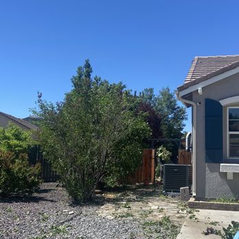 Expert Tree and Yard Service - Tree Services Near Me - Reno, Nevada