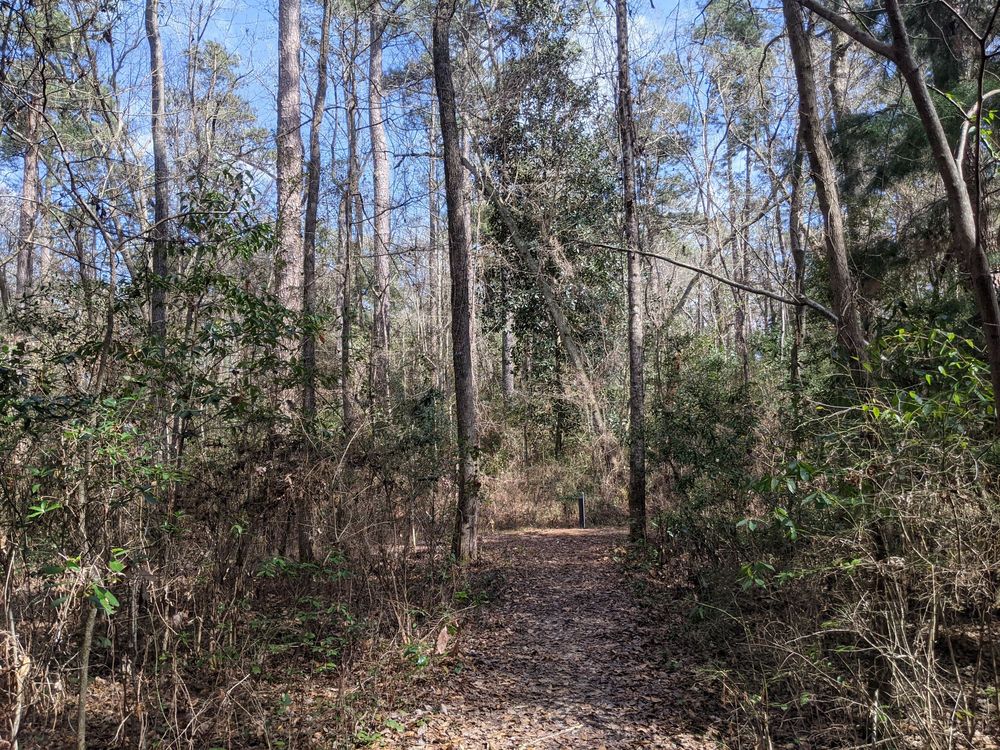 COLLETON STATE PARK OFFICE Updated September 2024 19 Photos 147