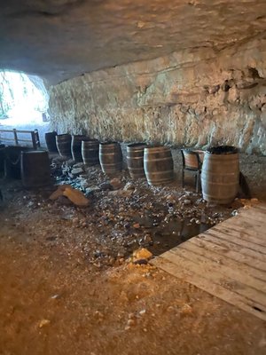 Cave Vineyard by null