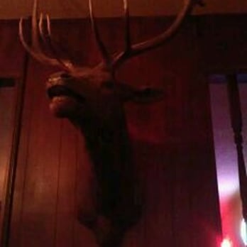 Sundown Saloon - a deer head mounted on the wall - Dive Bars Near Me - Houston, Texas Sundown Saloon - a deer head mounted on the wall - Dive Bars Near Me - Houston, Texas