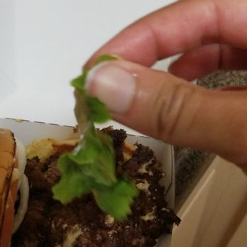 Shake Shack - Burgers Near Me - Los Angeles, California Shake Shack - Burgers Near Me - Los Angeles, California