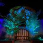 Photo of Top Shelf Lighting And Event Services