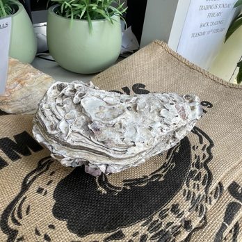 Jim Wild's Oyster Service - Specialty Food Near Me - Greenwell Point, NSW