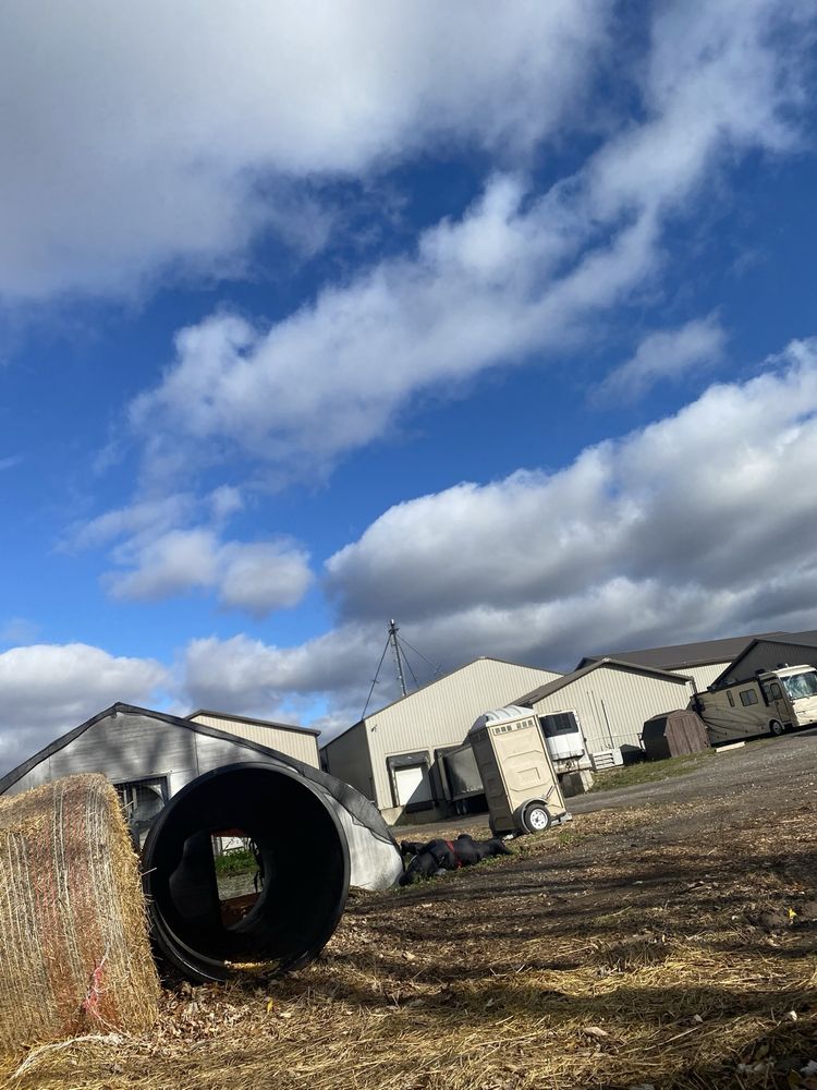 Food from Market 1892