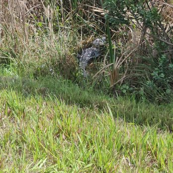 Ritch Grissom Memorial Wetlands - Parks Near Me - Viera, Florida