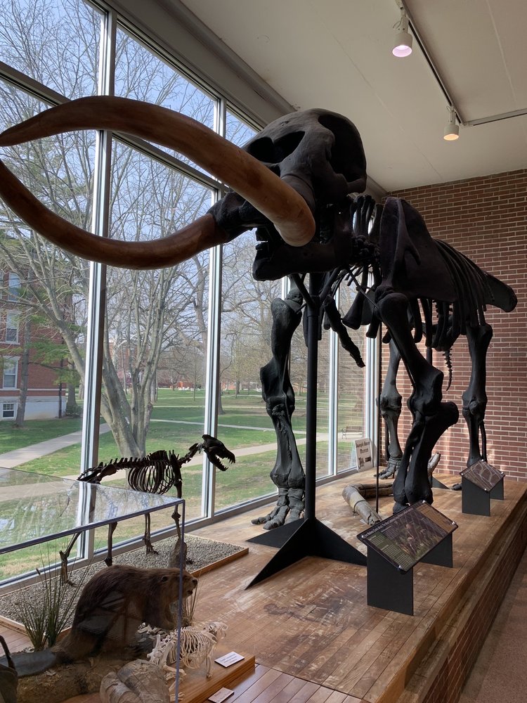 Social spots from Joseph Moore Museum