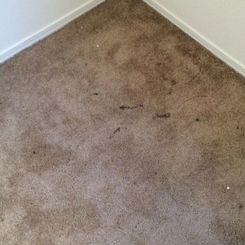 Central Coast Carpet Cleaning - Central Coast Carpet Cleaning is happy we finally had rain this season, but know it wasn't good for your carpet! Call us today - Carpet Cleaning Near Me
