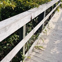 Pepper Park - Walkway