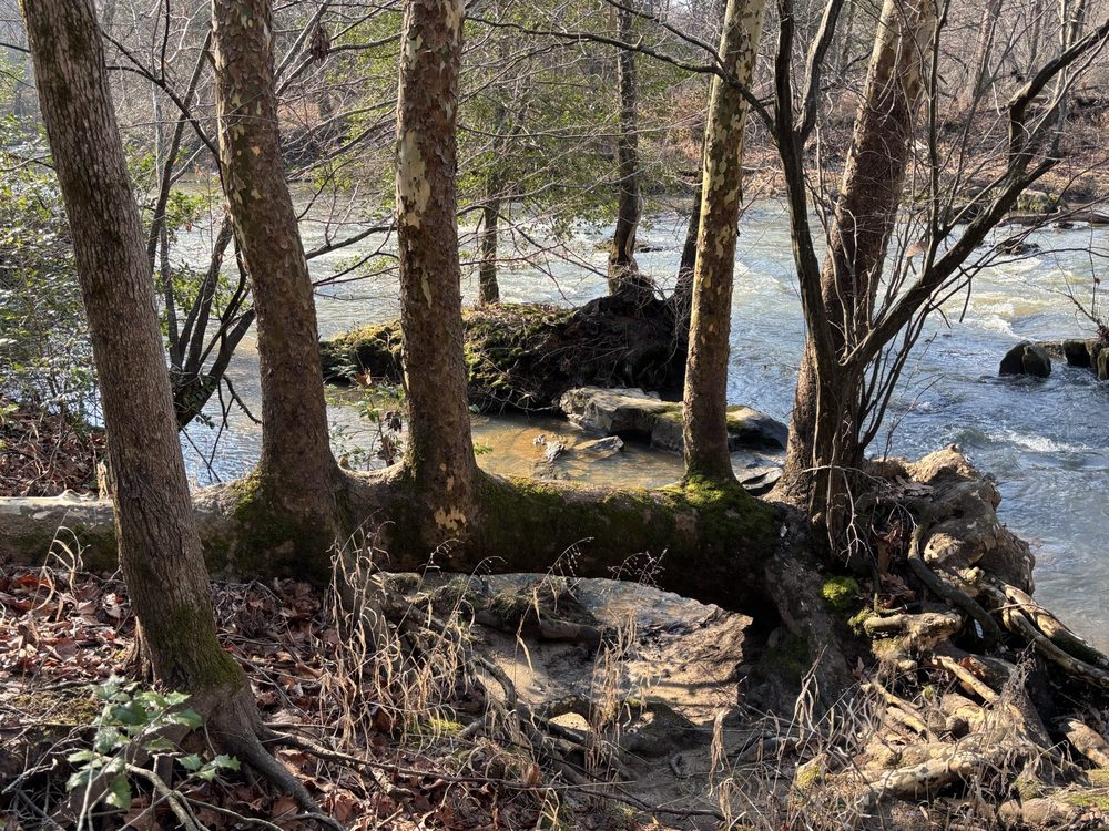 Shallow Ford Natural Area Logo