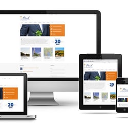 GetVisibleWeb