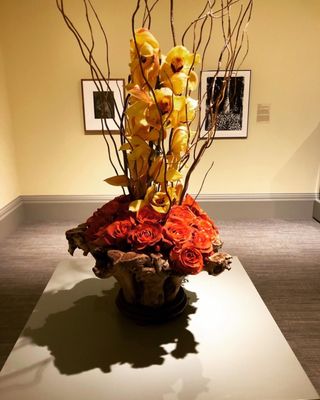 Columbia Museum of Art by null