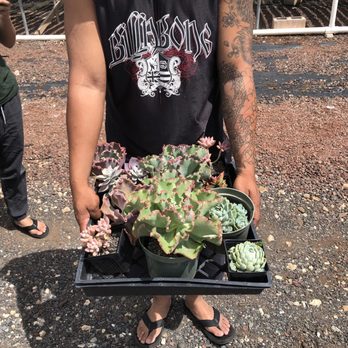Mari's Gardens - A bunch of goodies I (we) walked out with today _ - Nurseries & Gardening Near Me - Mililani, Hawaii Mari's Gardens - A bunch of goodies I (we) walked out with today _ - Nurseries & Gardening Near Me - Mililani, Hawaii