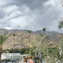 LOLA ROSE GRAND MEZZE - Updated March 2025 - 235 Photos & 86 Reviews